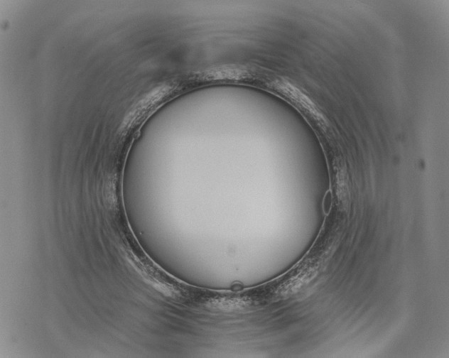 X0000073450537200608111352