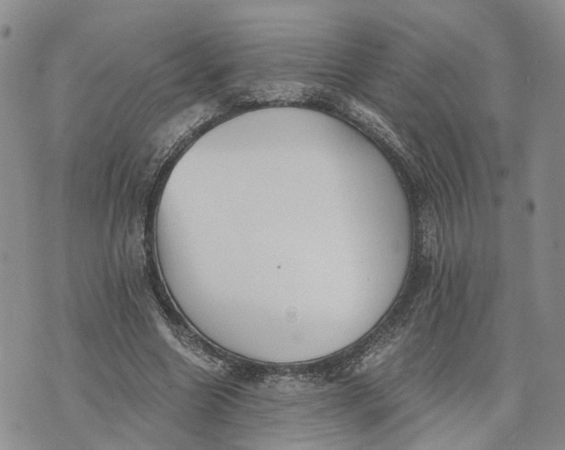 X0000073450538200608111352