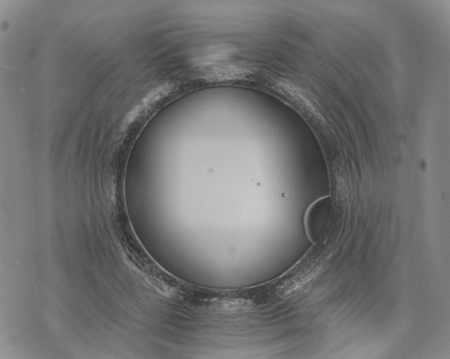 X0000073450539200608111352