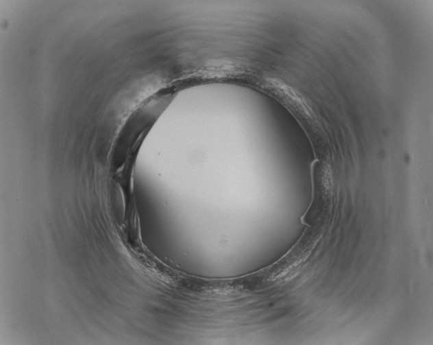 X0000073450540200608111352