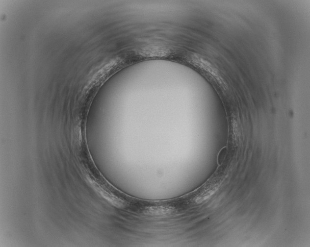 X0000073450541200608111353