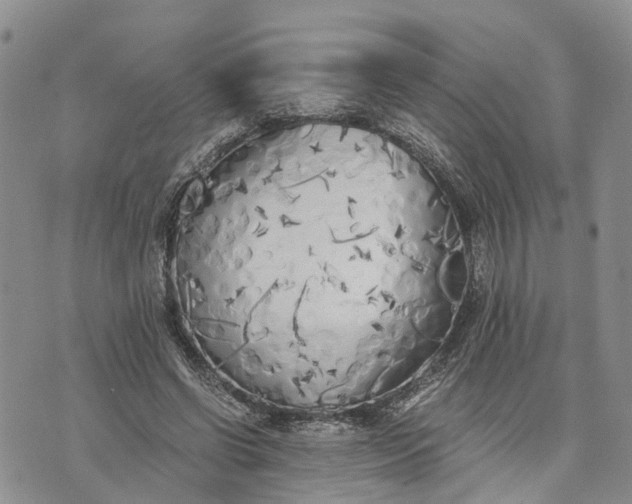 X0000073450542200608111353