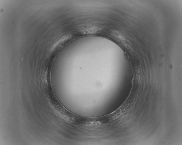 X0000073450543200608111353