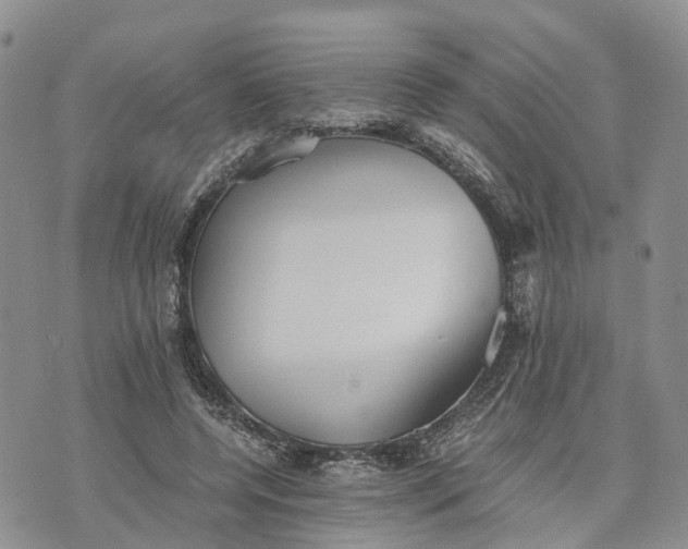 X0000073450544200608111353