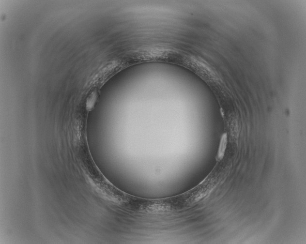 X0000073450546200608111353