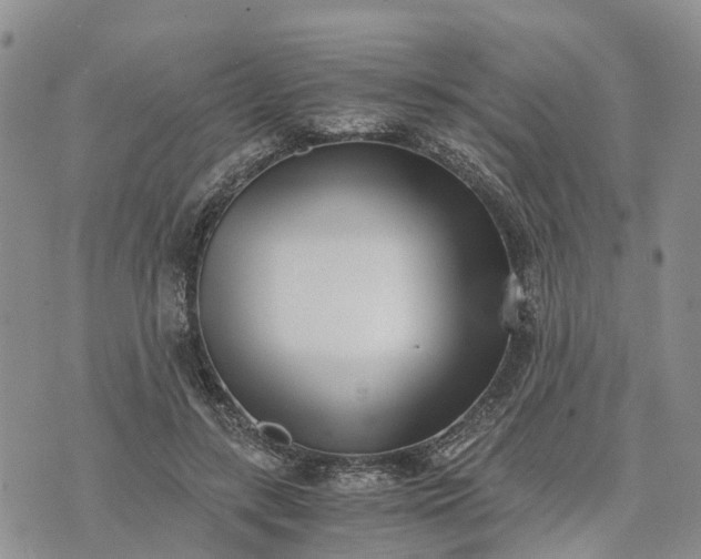 X0000073450547200608111353