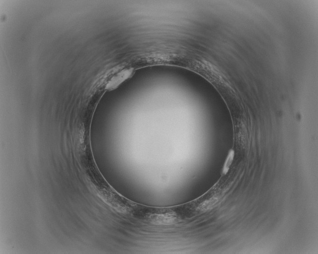 X0000073450548200608111353