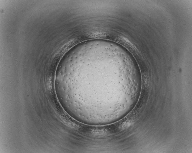 X0000073450549200608111353