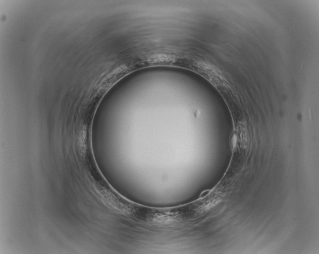 X0000073450550200608111353