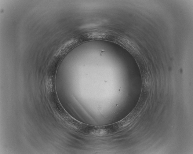 X0000073450551200608111353