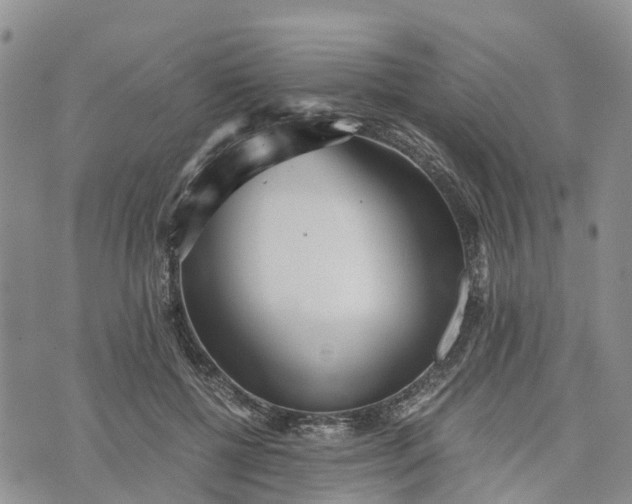 X0000073450552200608111353