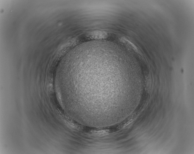 X0000073450553200608111353