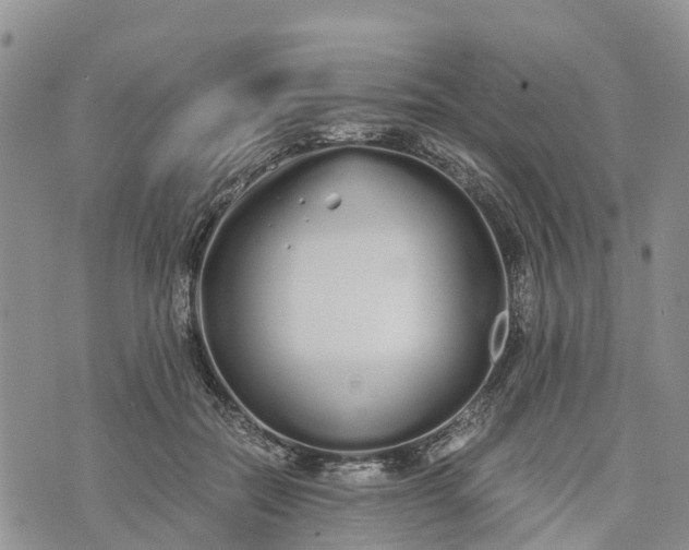 X0000073450554200608111353