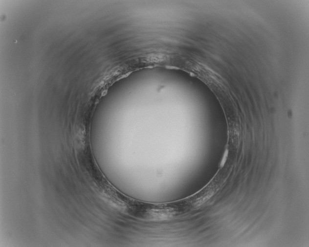 X0000073450556200608111353