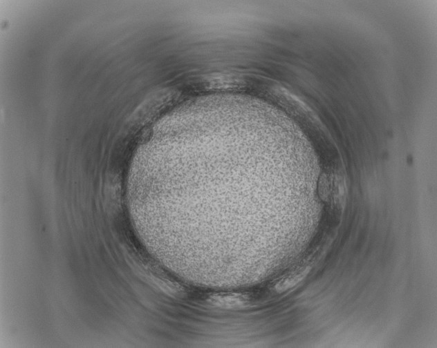 X0000073450557200608111353