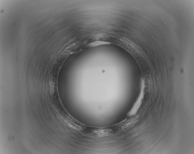 X0000073450558200608111353