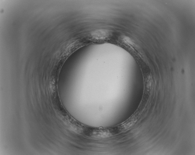 X0000073450559200608111353