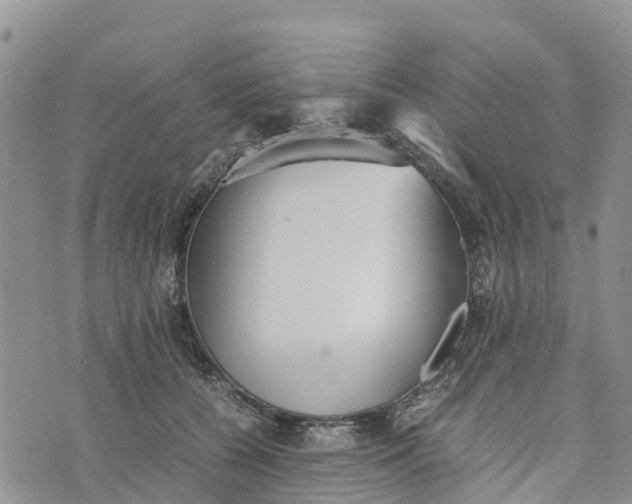 X0000073450560200608111353