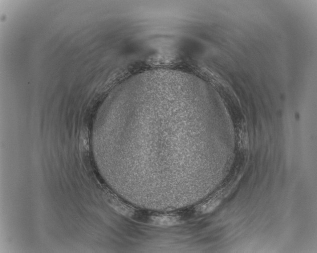 X0000073450561200608111353