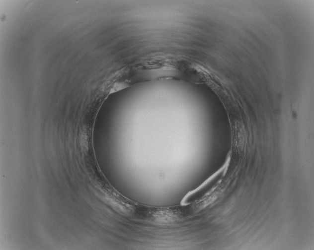 X0000073450562200608111353