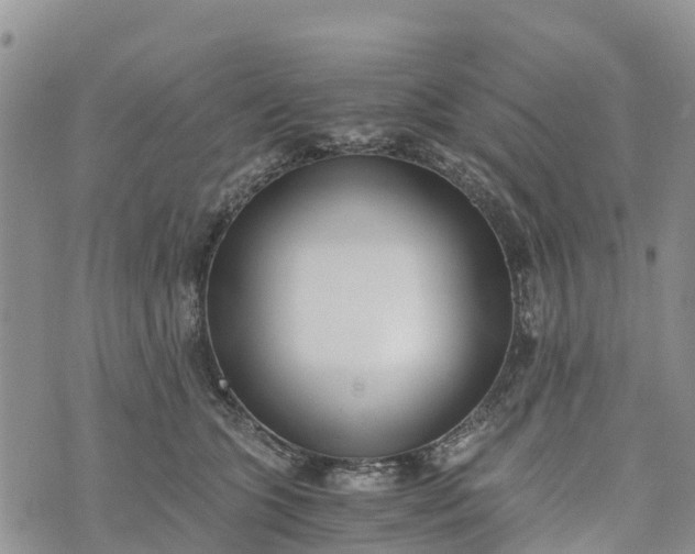 X0000073450563200608111353