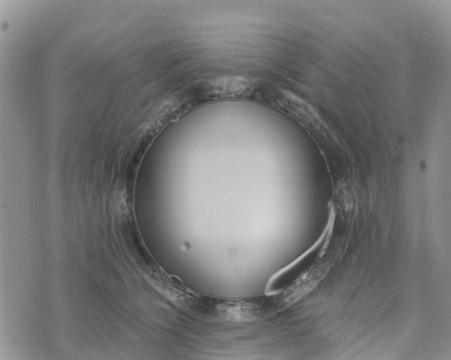 X0000073450564200608111353