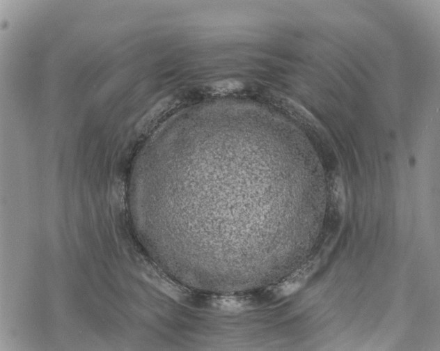 X0000073450565200608111353