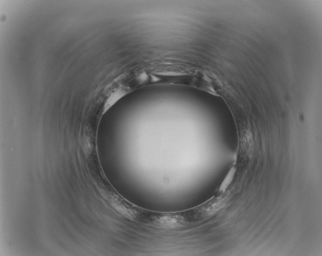 X0000073450566200608111353