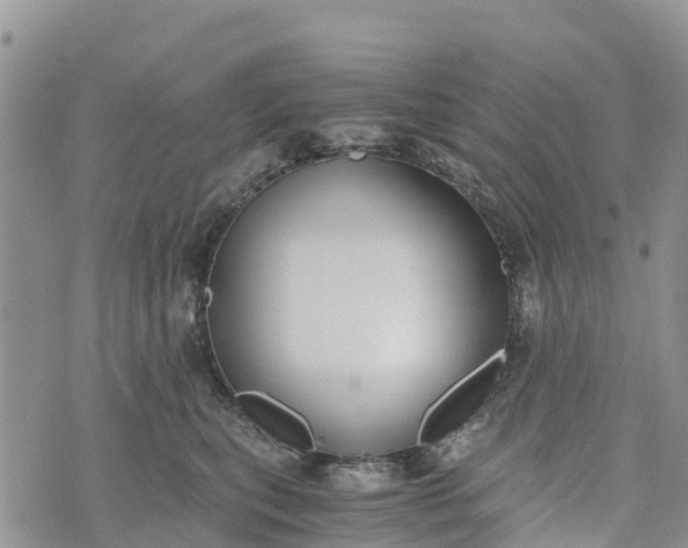 X0000073450567200608111353