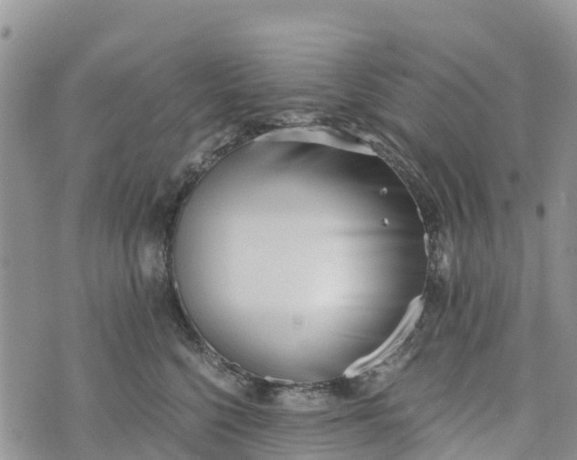 X0000073450568200608111353