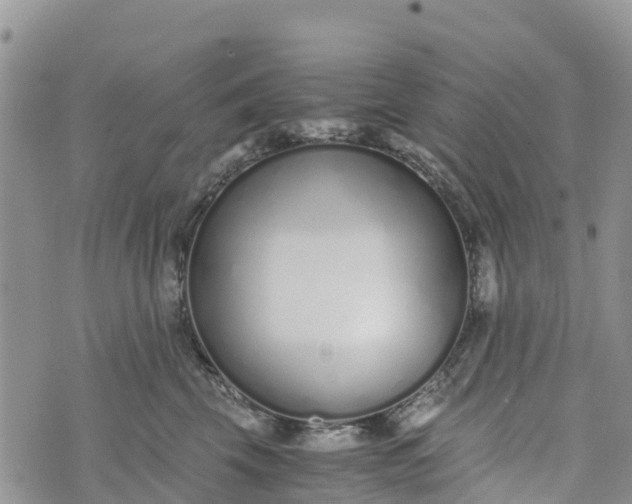 X0000073450569200608111353