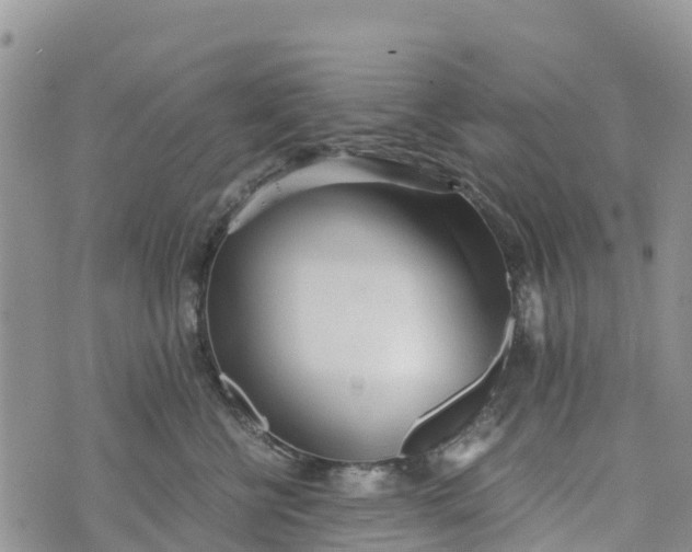 X0000073450570200608111353