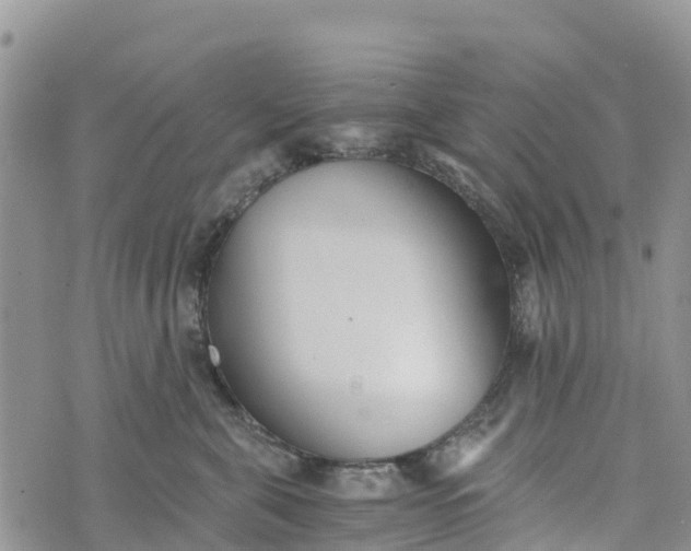 X0000073450571200608111353