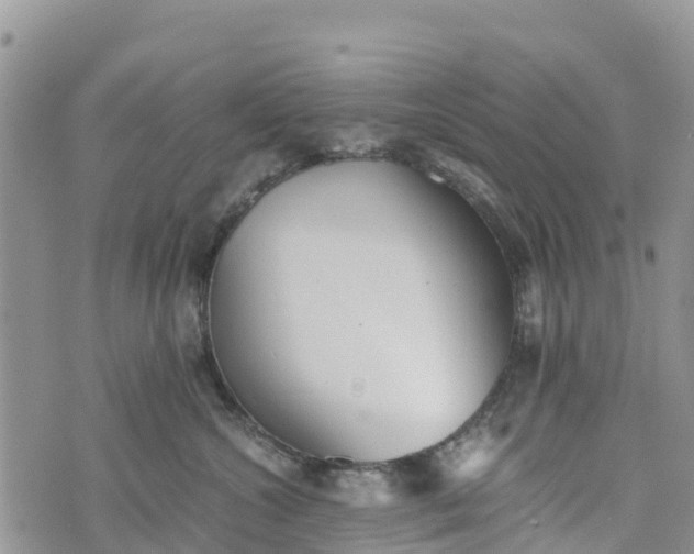 X0000073450572200608111353