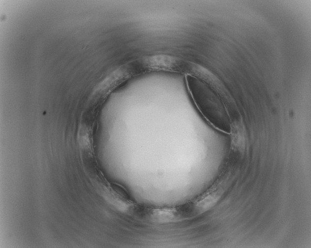 X0000073450573200608111353