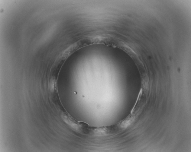 X0000073450574200608111353