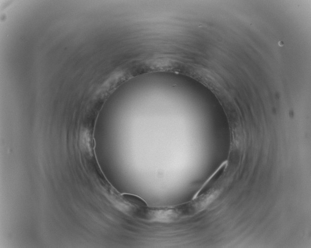 X0000073450575200608111353