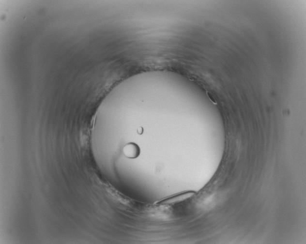 X0000073450576200608111353