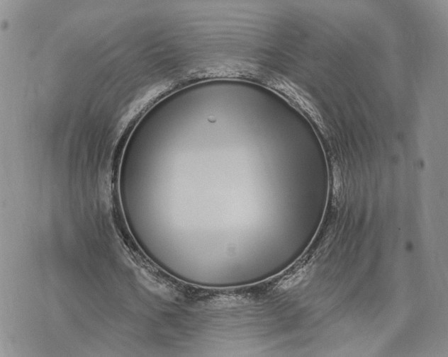 X0000073450578200608111352