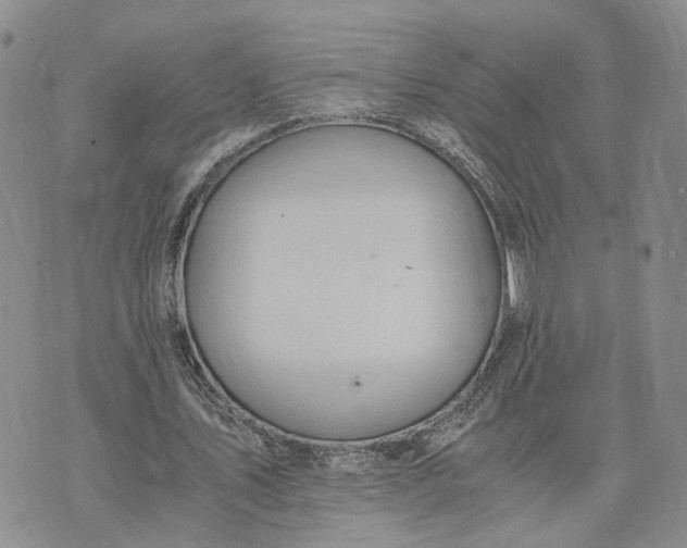 X0000073450579200608111352