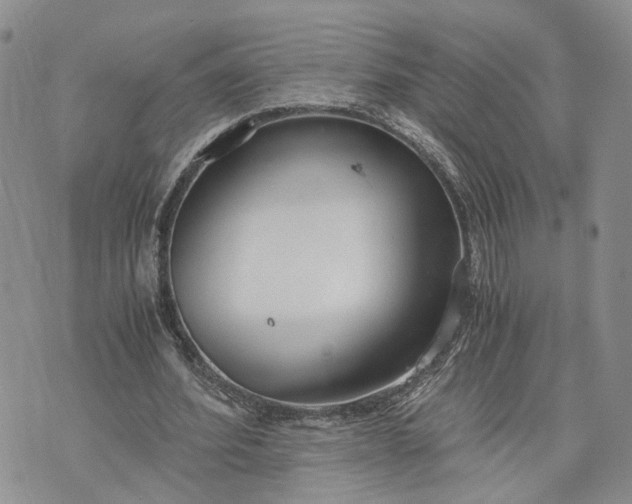 X0000073450580200608111352