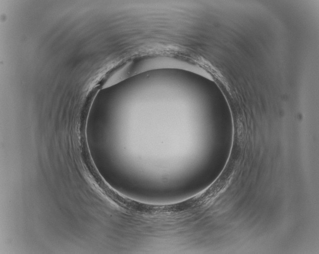 X0000073450581200608111352