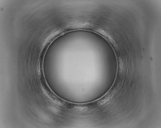 X0000073450582200608111352