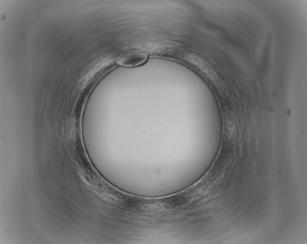 X0000073450583200608111352