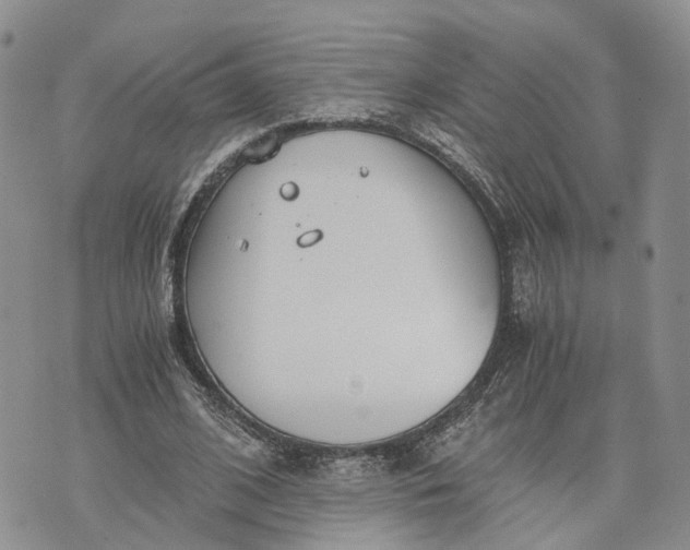 X0000073450584200608111352