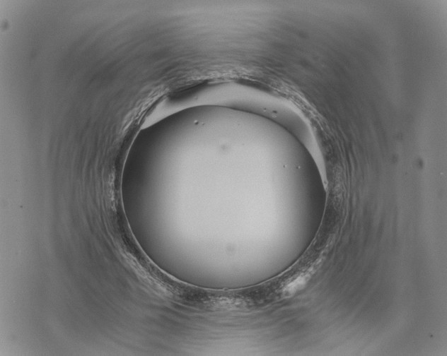 X0000073450585200608111352