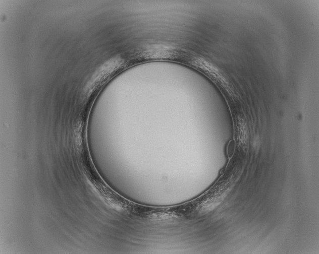 X0000073450586200608111352