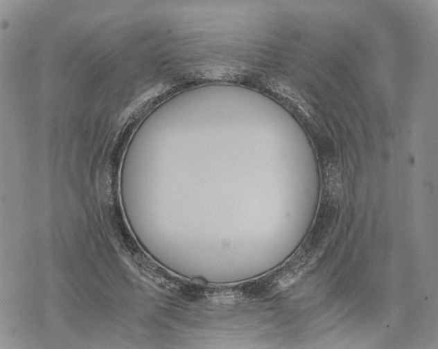 X0000073450587200608111352