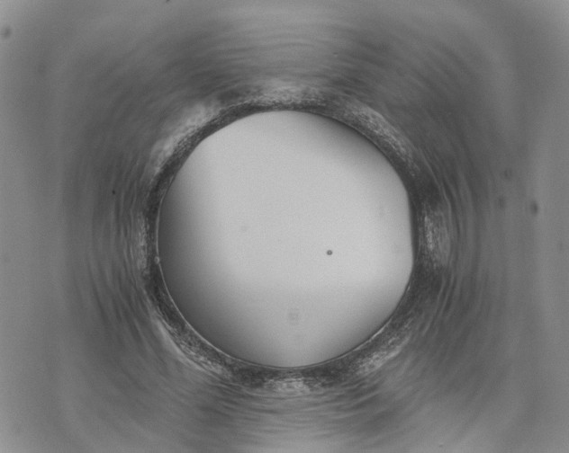 X0000073450588200608111352