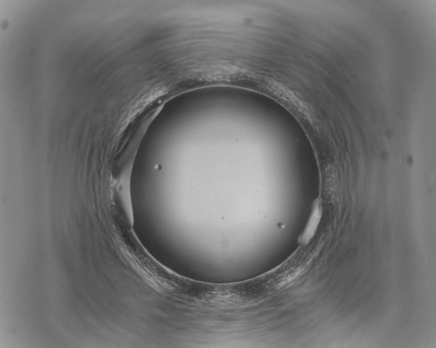 X0000073450589200608111352